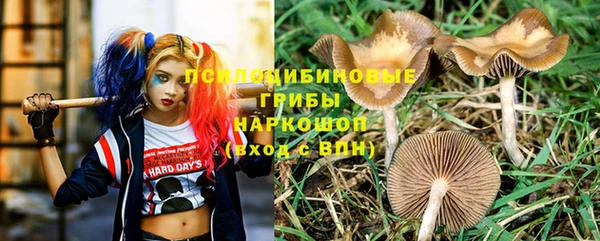 альфа пвп Осинники