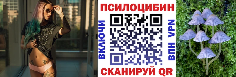 Псилоцибиновые грибы MAGIC MUSHROOMS  купить наркотики цена  кракен ССЫЛКА  Павлово 